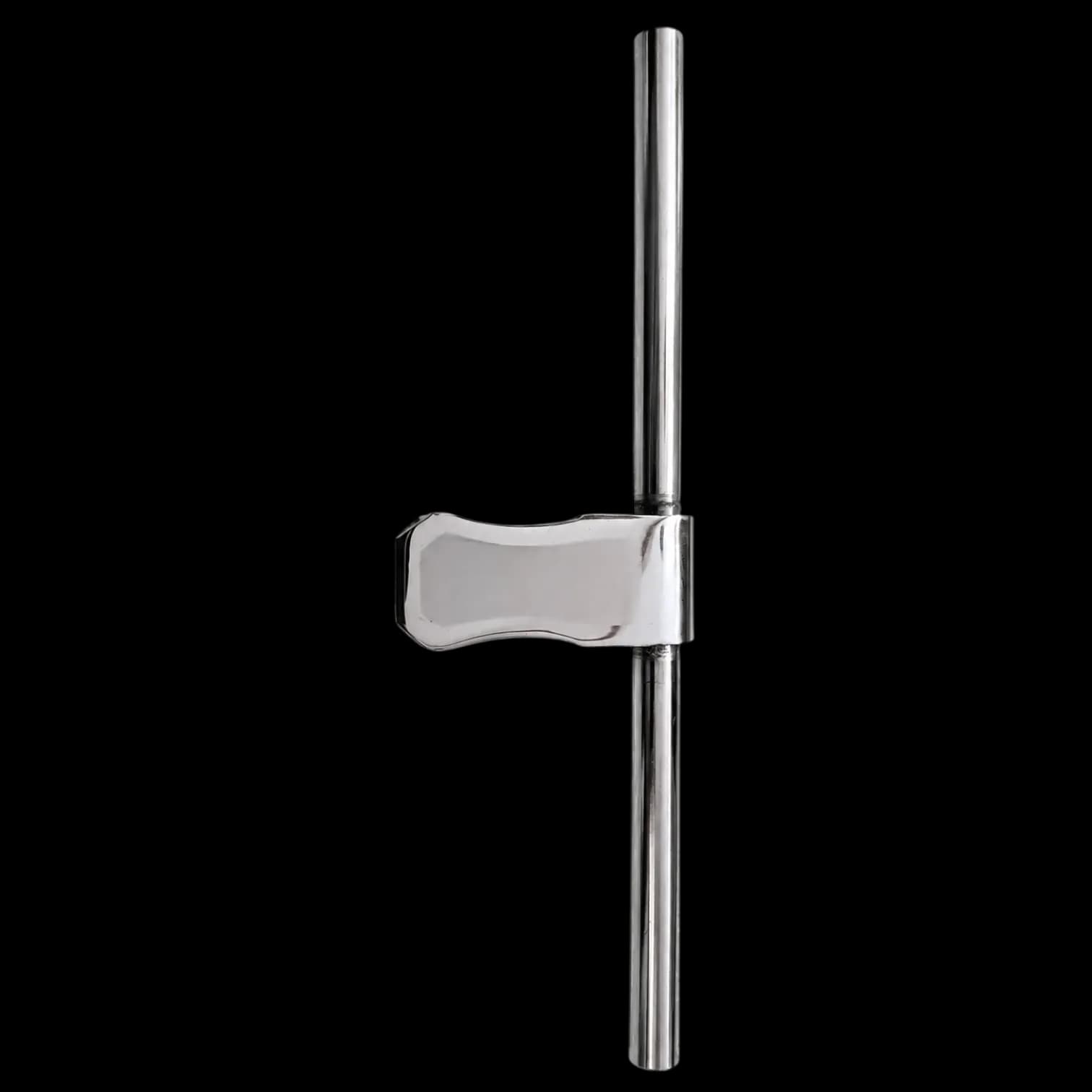 Anjna Steel Latch Scorpion 12mm 8" SS finish