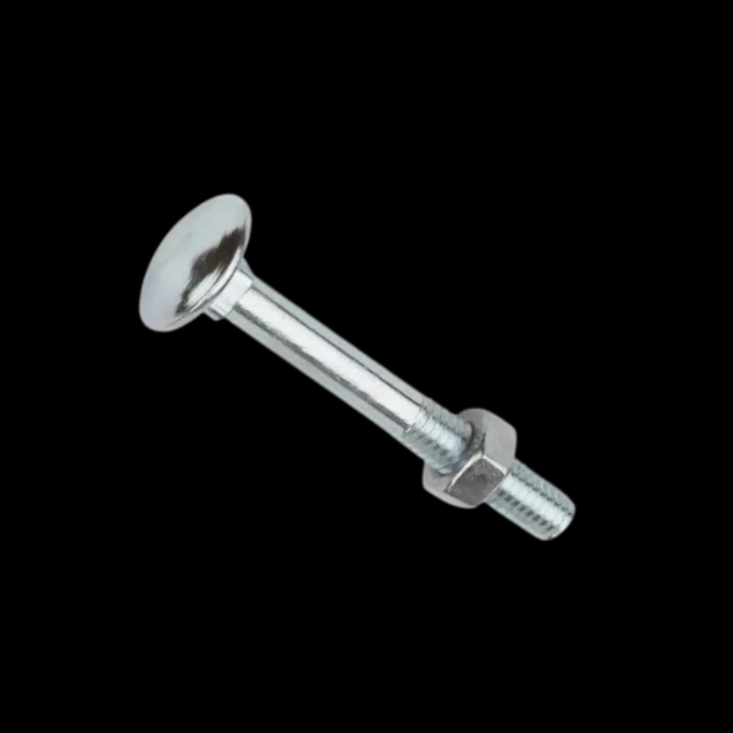 Anjna Steel Carriage Bolt 2.5'' SS finish (100 Pcs)