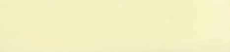 E3 Glossy 1003 PVC Edge Banding-IVORY 22mm x 0.8mm (50 Mtr)