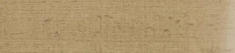 E3 Glossy 2069 PVC Edge Banding-FIBRE GOLD50MTR