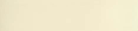 E3 Matt 1033 PVC Edge Banding-RAW CREAM 22mm x 0.8mm (50 Mtr)